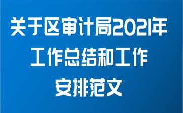 关于区审计局2021年工作总结和工作安排范文