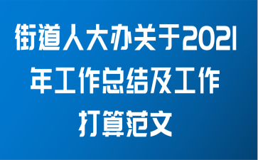 街道人大办关于2021年工作总结及工作打算范文