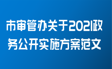 市审管办关于2021政务公开实施方案范文