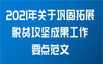 2021年关于巩固拓展脱贫攻坚成果工作要点范文