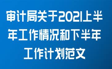 审计局关于2021上半年工作情况和下半年工作计划范文